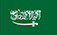 https://sa.szcers.com